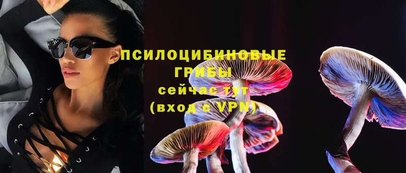 Галлюциногенные грибы Magic Shrooms  Каменногорск 